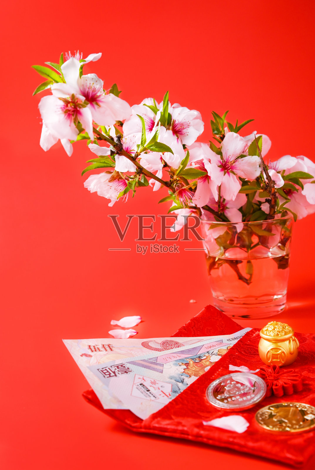 农历新年。一枝杏花和红包里的压岁钱。象征着好运和繁荣照片摄影图片