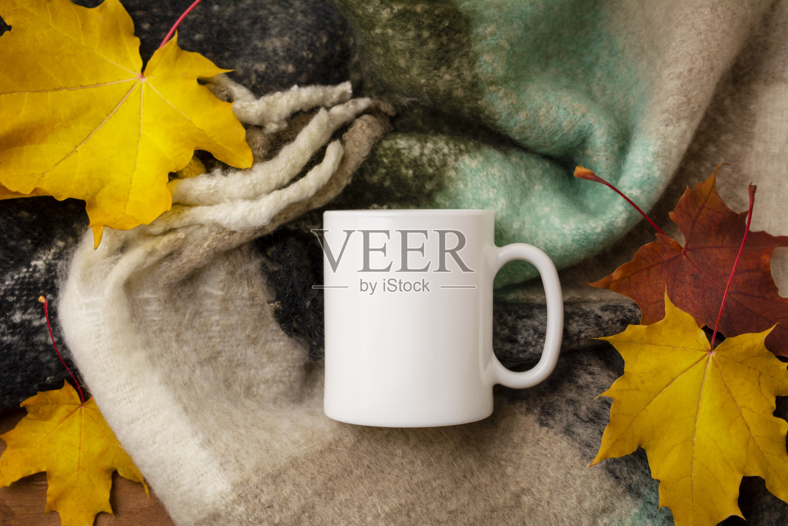 白色咖啡杯模型与羊毛围巾和秋天的枫叶照片摄影图片