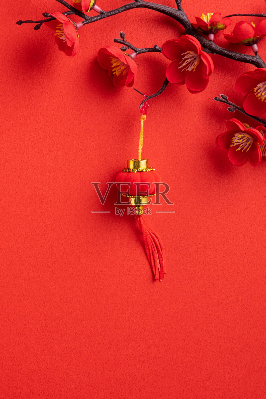 以中国农历新年为背景设计概念，以红梅和节日装饰。照片摄影图片