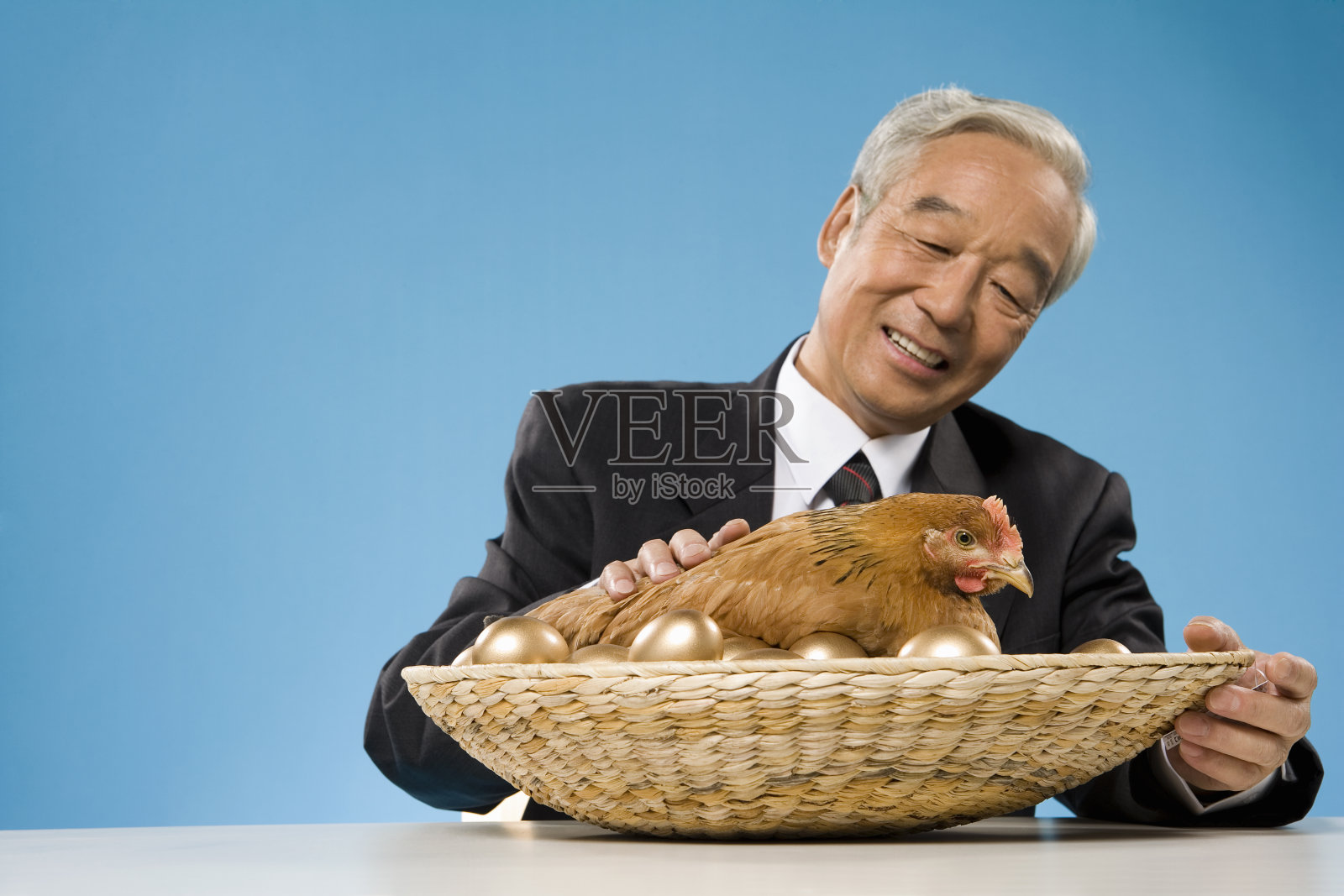 一位老人正在抚摸一只孵金蛋的鸡照片摄影图片
