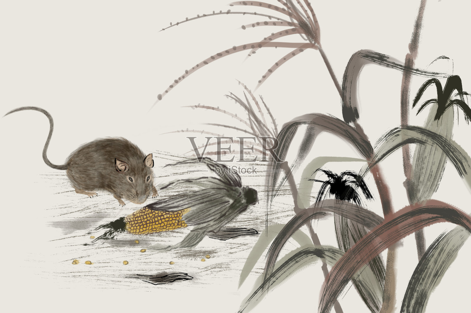 老鼠正在偷吃玉米插画图片素材