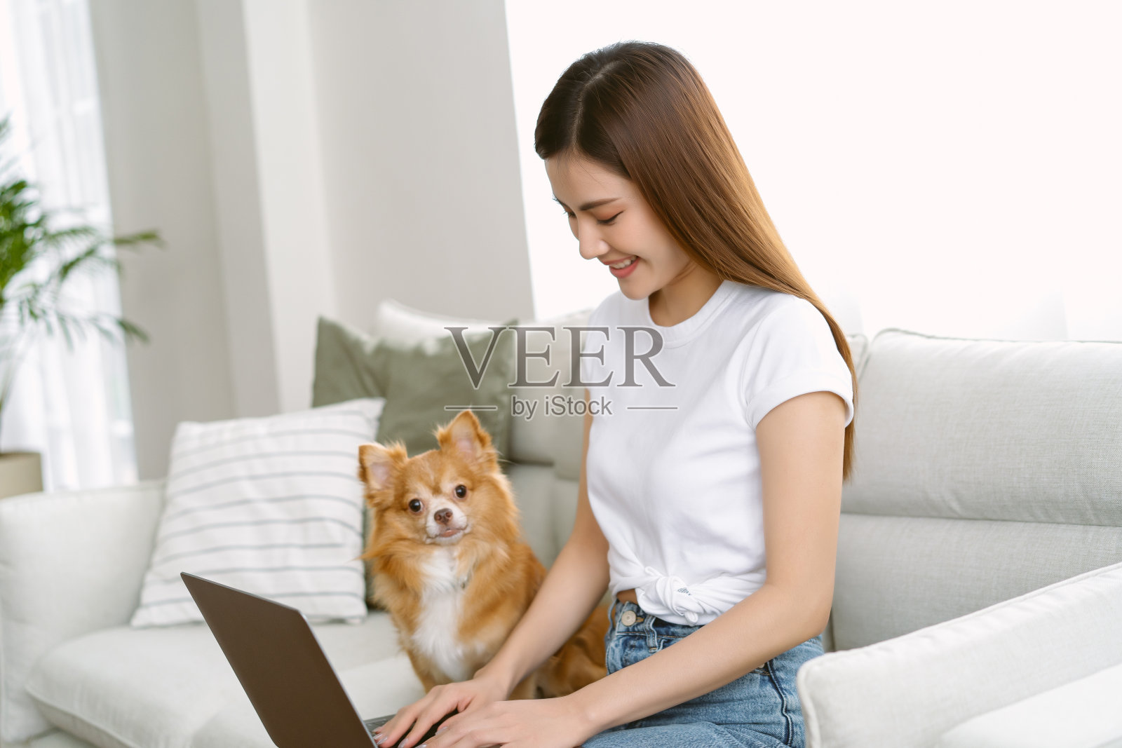 美丽的韩国年轻女性坐在家里的沙发上，一边用笔记本电脑工作，一边微笑，她的可爱的小狗。在家工作，远程工作，新常态和友好的狗的概念照片摄影图片