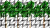 女王棕榈树网格艺术植物学3D渲染摄影图片