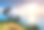 泰国普吉岛蓬贴角的日落景色素材图片