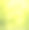 矢量阳光背景与洋甘菊和蒲公英。素材图片