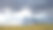 塞伦盖蒂平原乌云密布素材图片