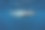 蓝鲸-斯里兰卡素材图片