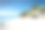 墨西哥尤卡坦的白色热带海滩素材图片