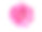 粉色牡丹花朵素材图片