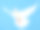 白色鸽子，展开翅膀，孤立在蓝色上素材图片