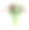 郁金香花束素材图片