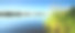 夏日风景，蓝天下，静湖芦苇素材图片