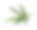 竹——叶素材图片