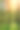 松林在秋日的阳光下素材图片