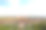 紫禁城全景素材图片