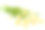 Whild洋甘菊。素材图片