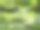 石阶绿苔日本花园俄勒冈“创意内容简介”700060701素材图片