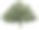 在白色背景上孤立的成熟橡树素材图片