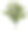 橡树孤立在白色的背景素材图片