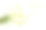 孤立在白色背景上的洋甘菊素材图片