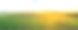 夏日葡萄园日落时的超宽全景照片素材图片