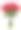 彩色花束孤立在白色背景上。素材图片