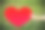 大红心作为文本装饰设计的复制空间，在亚洲女性手牵手绿色花园为情人节素材图片