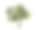 白色背景上孤立的橄榄树素材图片