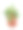 在白色背景上的一个罐子里的西红柿幼苗素材图片