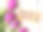 妇女节贺卡和一束美丽的郁金香在木制的背景素材图片
