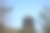 雷峰塔的春天素材图片