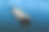 第聂伯河上的油品油轮驳船素材图片