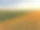 日落时油菜籽田的鸟瞰图素材图片