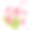 鲜花盛开的杜鹃花素材图片