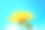 菊花的特写在一个纯色的背景素材图片