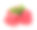 树莓孤立在白色背景素材图片