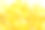 亮黄色维生素e鱼油胶囊，白色背景素材图片