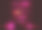 一组矢量发光霓虹灯效果。抽象的粉色线条与光晕和散景效果。UI设计元素。透明的镜头光晕。用于游戏设计、横幅、框架和按钮的未来主义色彩。素材图片