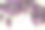 紫藤花素材图片