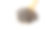 木勺里的奇异籽，白色的背景素材图片