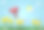 心脏气球在向日葵田上面素材图片