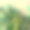 这是一幅深褐色的，复古风格的水彩山水画，描绘的是在迷雾笼罩的山脉上看到充满活力的绿色森林素材图片