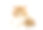 缅因猫，8周大，白色背景素材图片