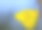 一个热带蝴蝶的特写，Catopsilia pomona或柠檬漫游者，与黄色的翅膀，坐在一个蓝色的背景，与文字的空间素材图片