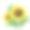 水彩向日葵孤立的白色背景，植物插图与手绘向日葵素材图片