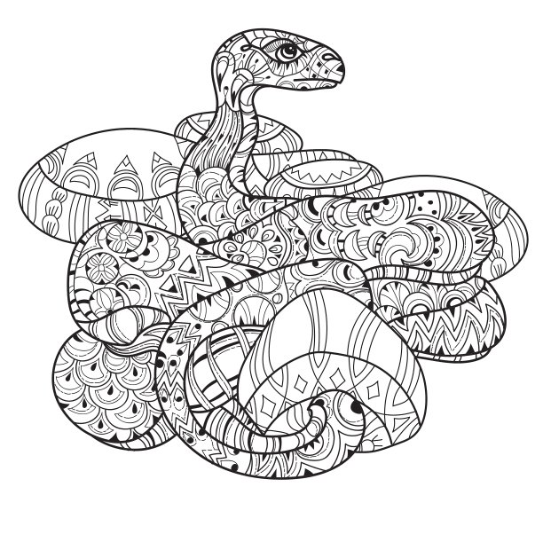 手绘涂鸦轮廓蟒蛇