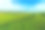 蓝天背景下的绿茶农场素材图片