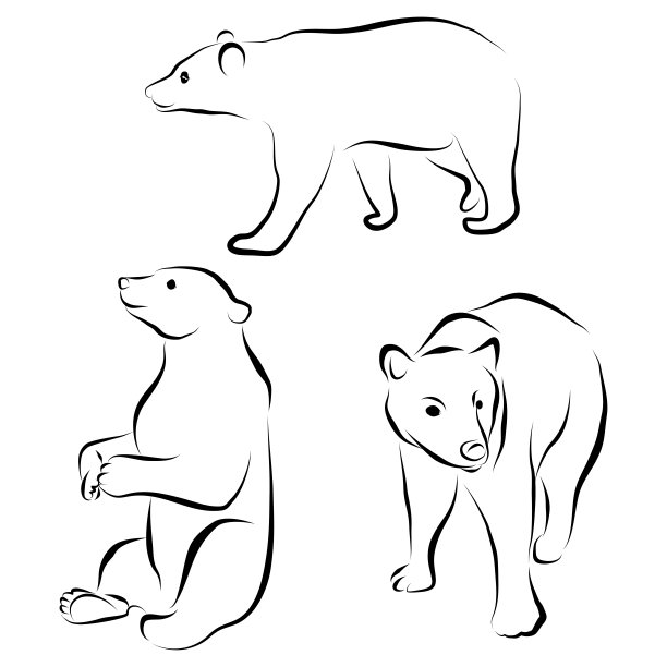 小熊全身的画法图片