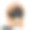 Leonberger小狗狗品种玩玩具数字艺术。德国原产动物，驯养哺乳动物，具有顽皮的情绪。巨型纯种狼疮犬，德国犬，水彩画人像。素材图片
