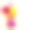 花束非洲菊在米色背景顶视图平lay节日贺卡快乐的母亲节，3月8日，情人节，复活节概念复制空间模拟素材图片